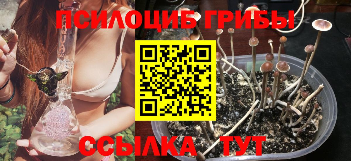 Галлюциногенные грибы ЛСД  Вход с VPN  цены   Галлюциногенные грибы Psilocybe  Пушкино 